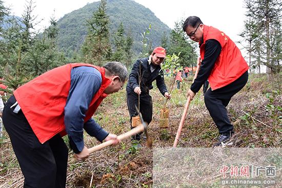 春节后上班首日植树忙